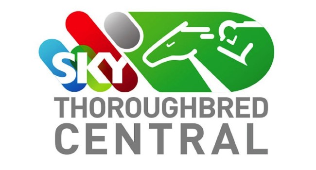 Sky-Thoroughbred-Central